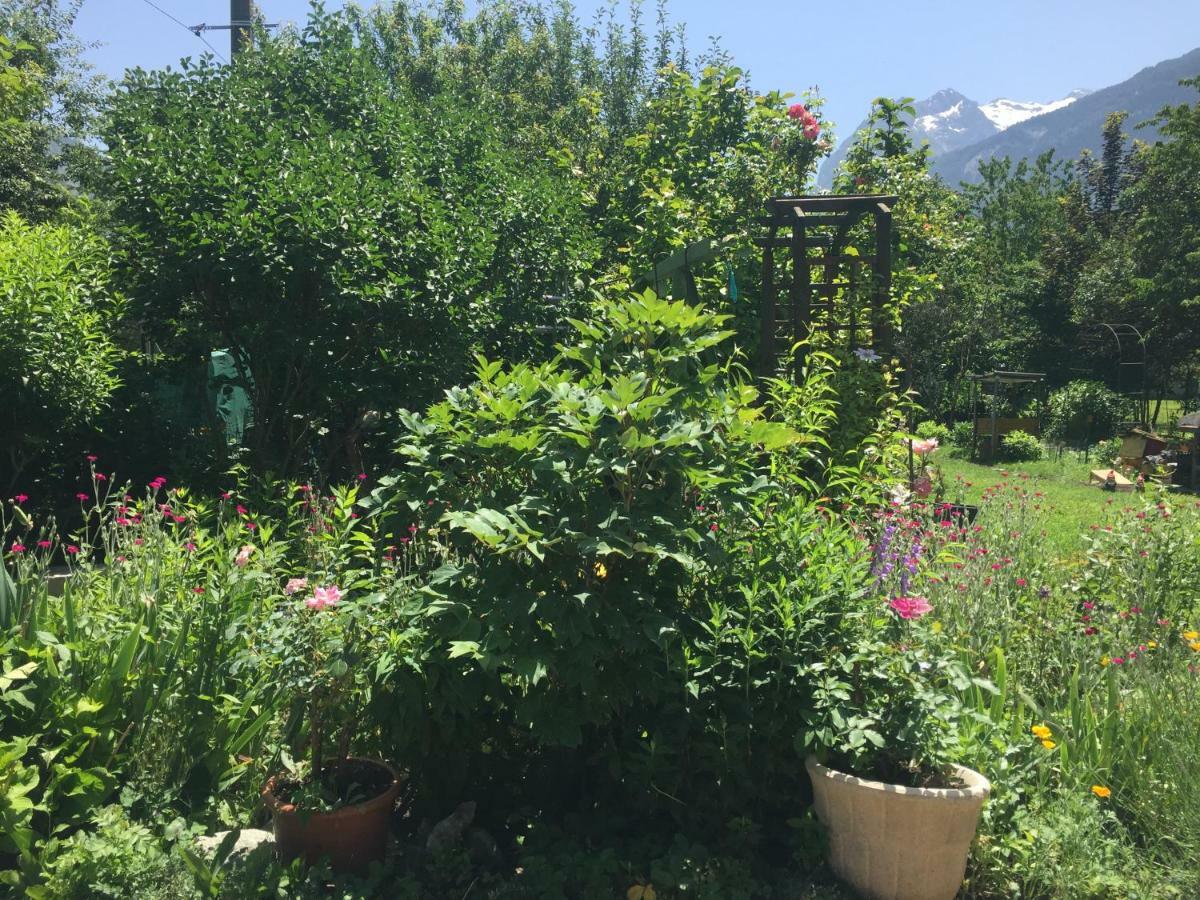 Appartamento La Tannerie Le Bourg-dʼOisans Esterno foto